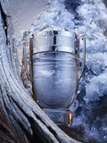 Paco Rabanne Invictus