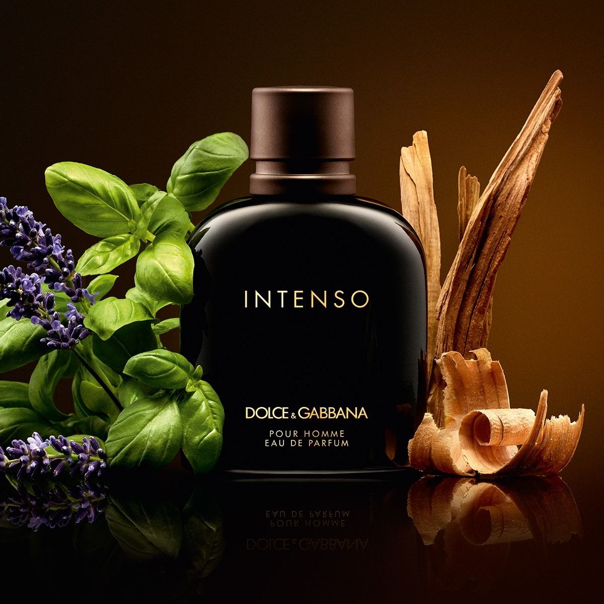 D&G Intenso