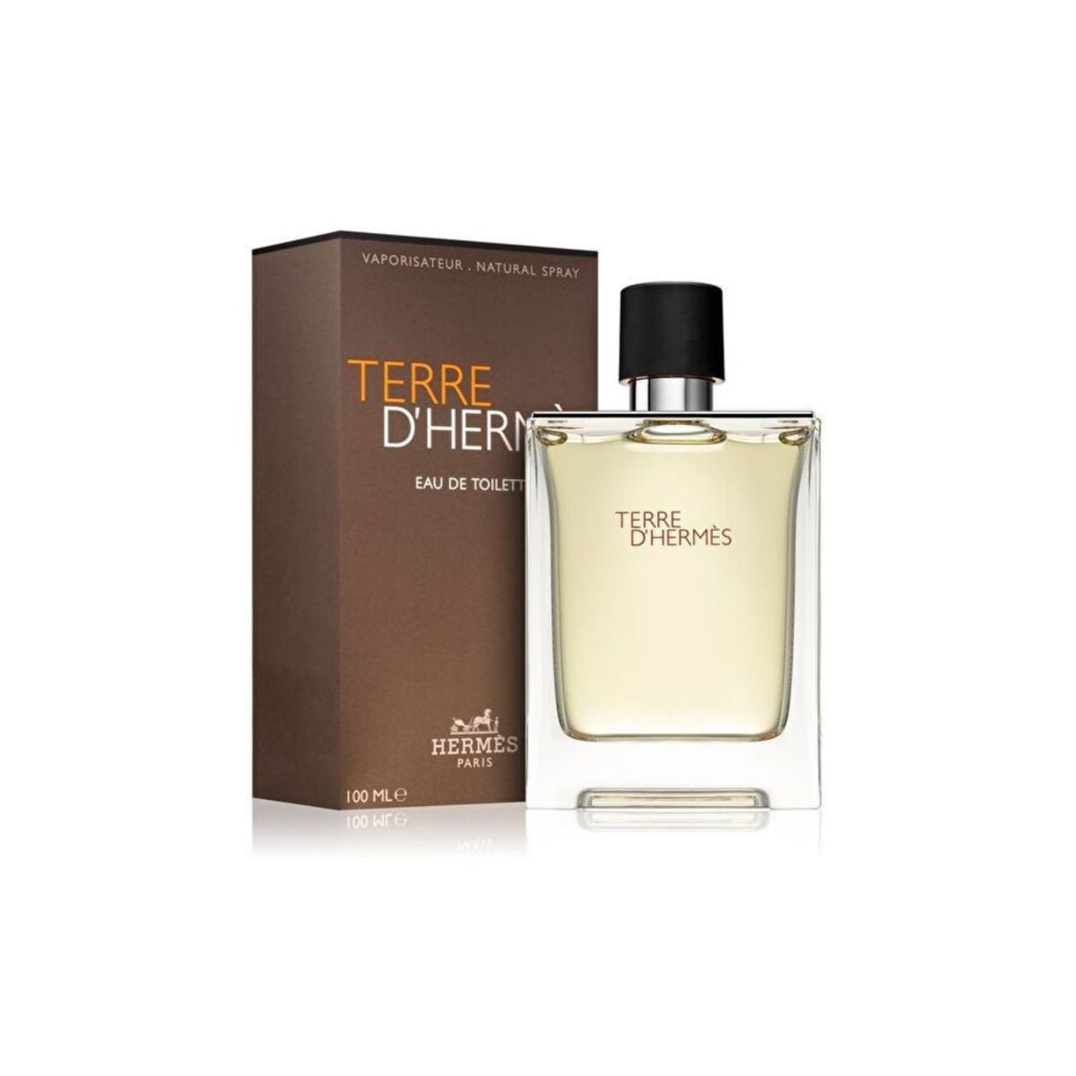 Hermès Terre D'Hermès