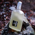 Tom Ford Grey Vetiver