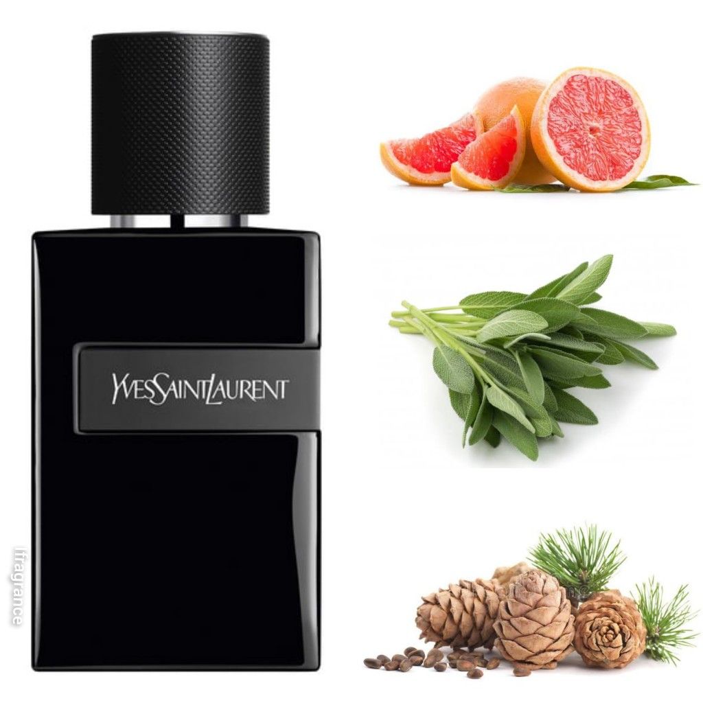 YSL Y Le Parfum